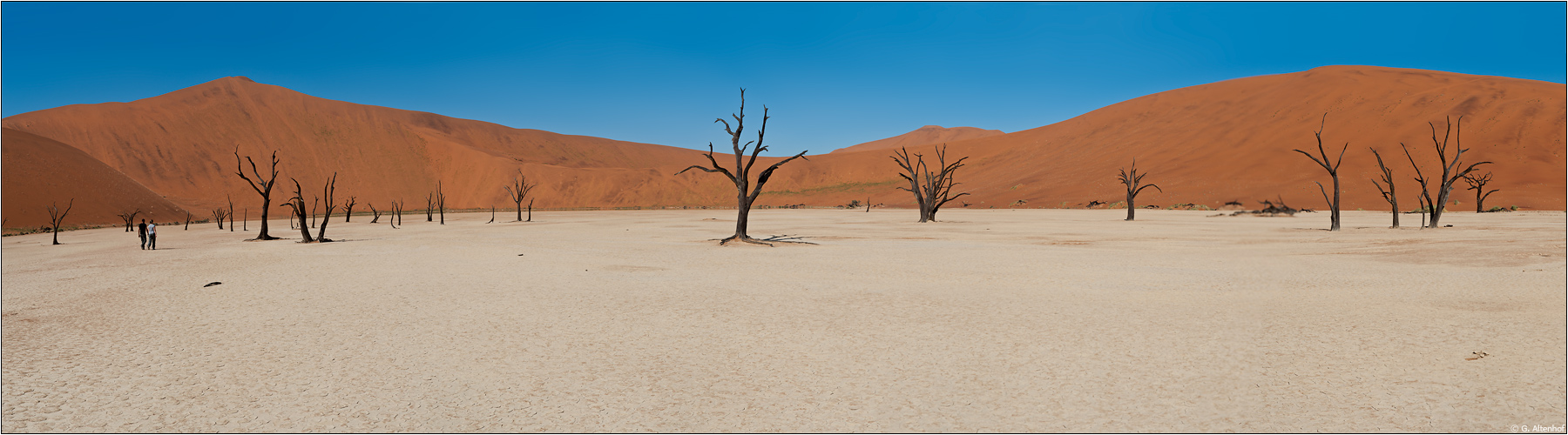 ...durch's Dead Vlei