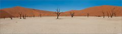 ...durch's Dead Vlei