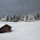 durchs Fenster..