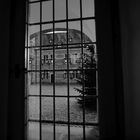 Durchs Fenster gschaut