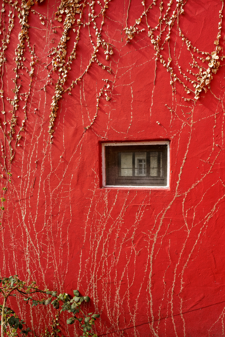 Durchs Fenster zum Fenster