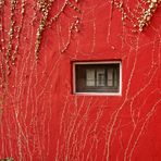 Durchs Fenster zum Fenster