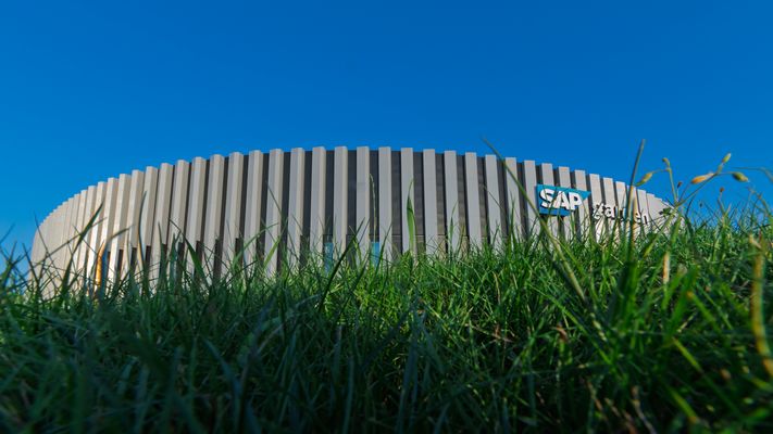 Durchs Gras zum SAP Garden