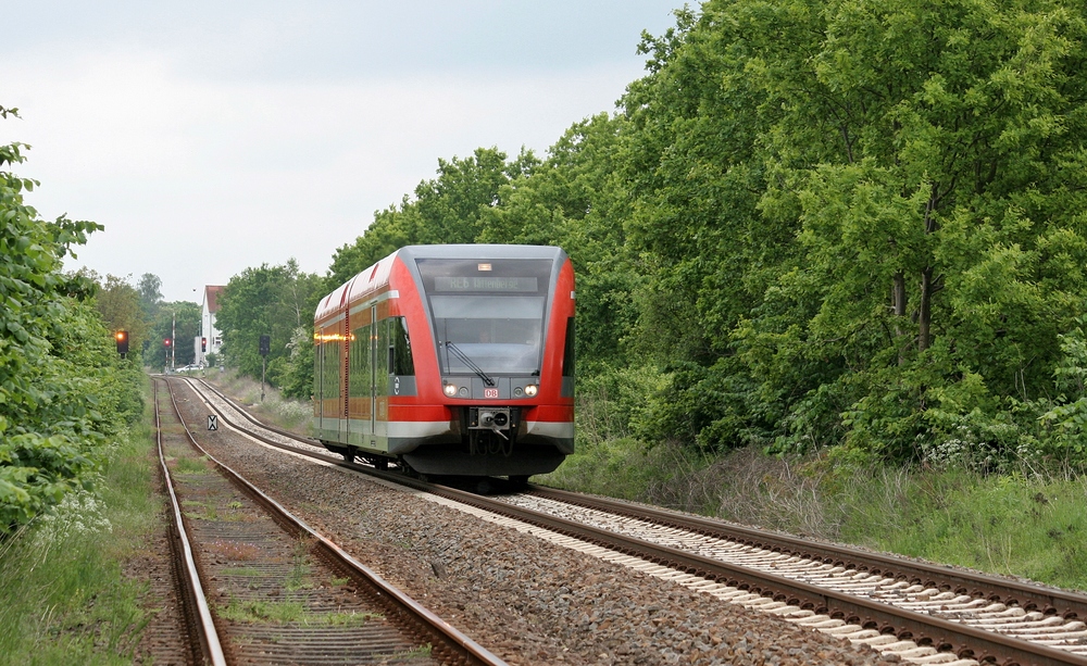 Durchs Grün ; 2013-05-28