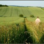 Durchs herrliche Grün wandern...