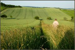 Durchs herrliche Grün wandern...