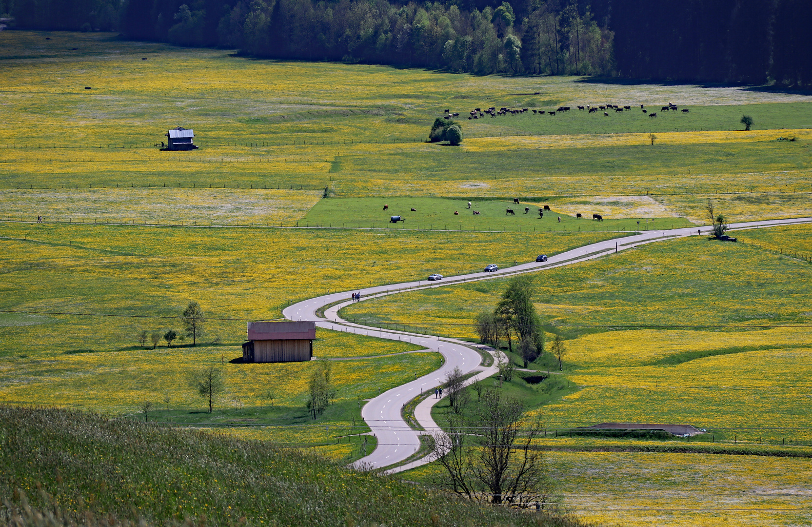 Durchs Oberallgäu