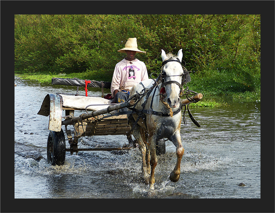 Durchs Wasser