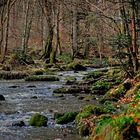 Durchs wilde Monbachtal - The wild Monbach valley