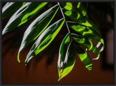 durch's wohnzimmerlaub...