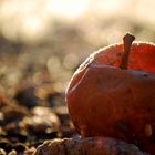 durchscheinender Apfel