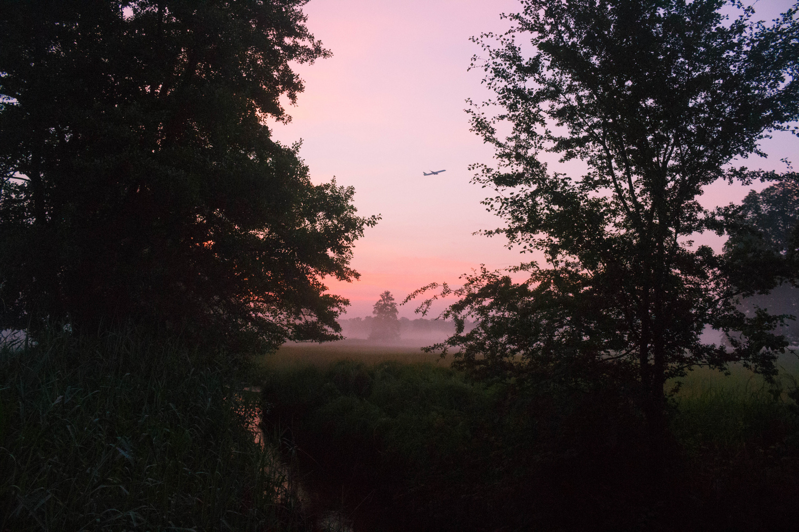 Durchschimmender Bachlauf