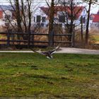 Durchstarten in Richtung Sonne