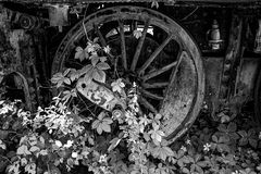 durchwachsenes waggonrad...