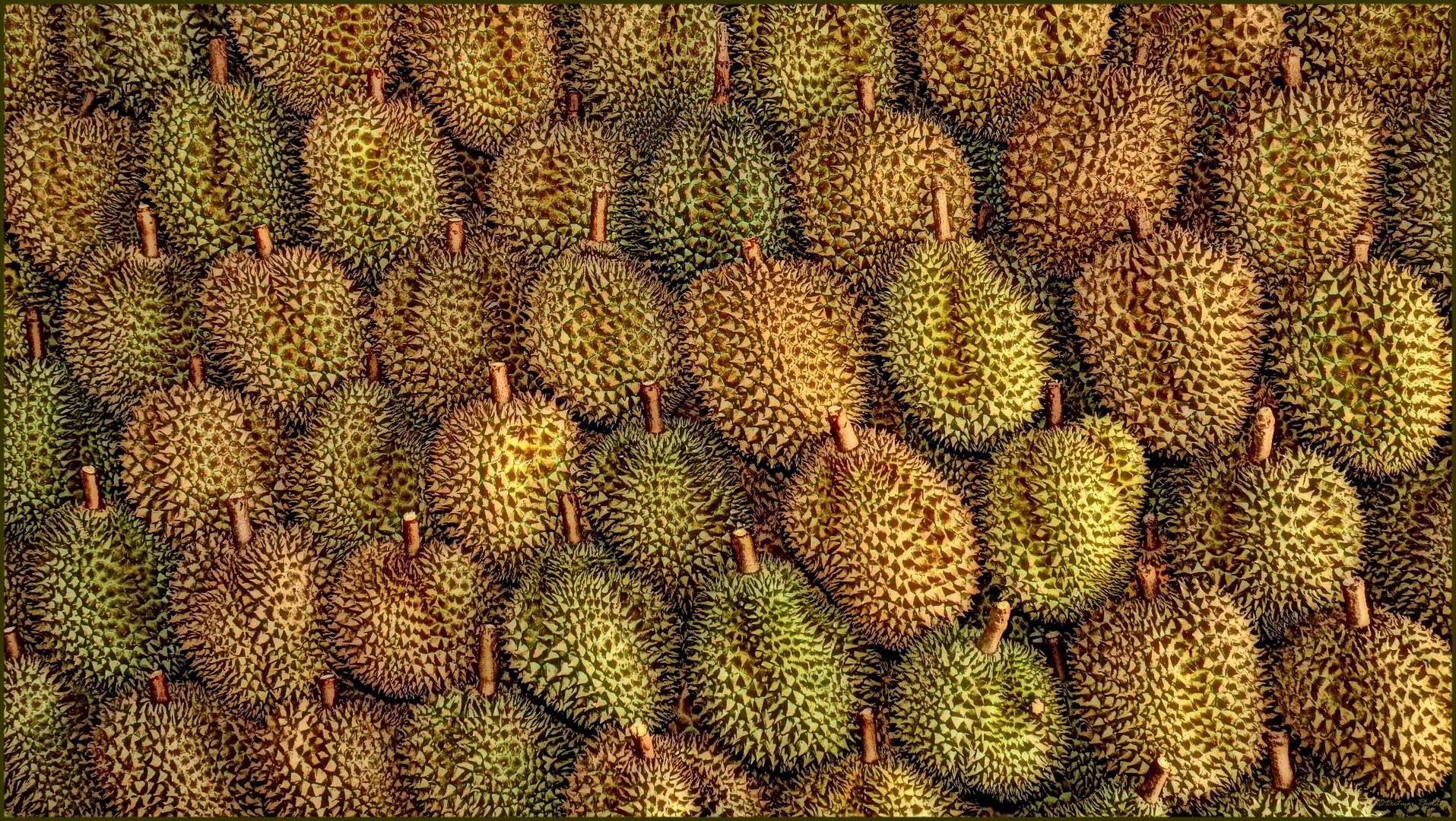 Durian