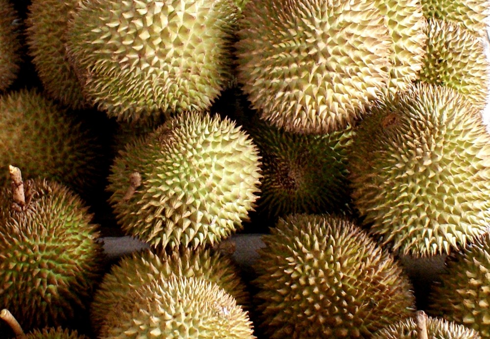 Durian