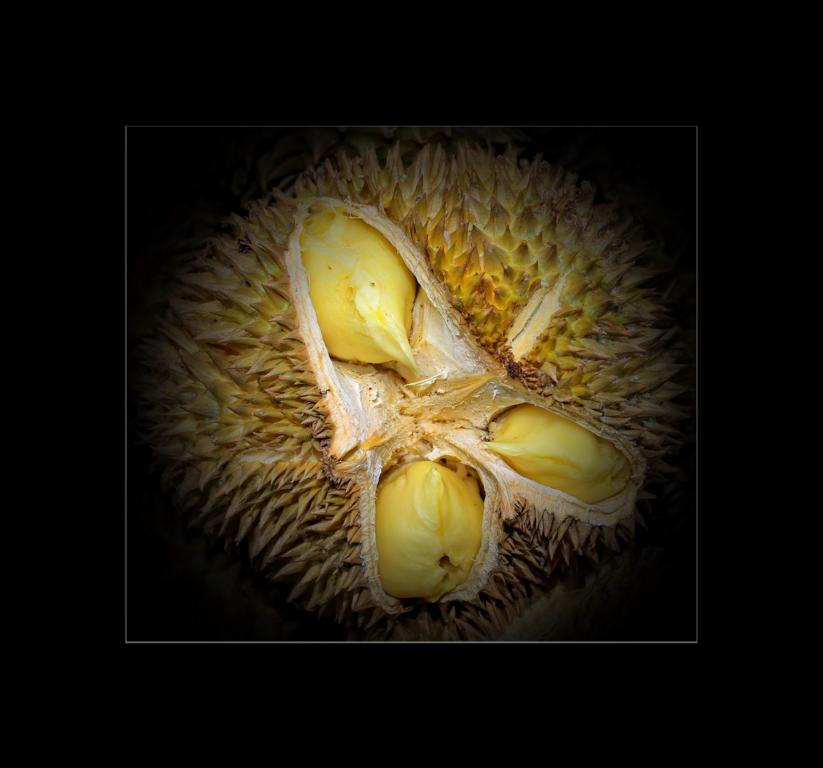 Durian