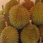 Durian