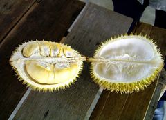 Durian