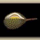 Durian