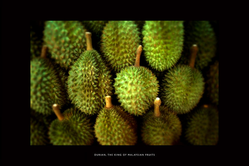 durian- the king of malaysian fruits