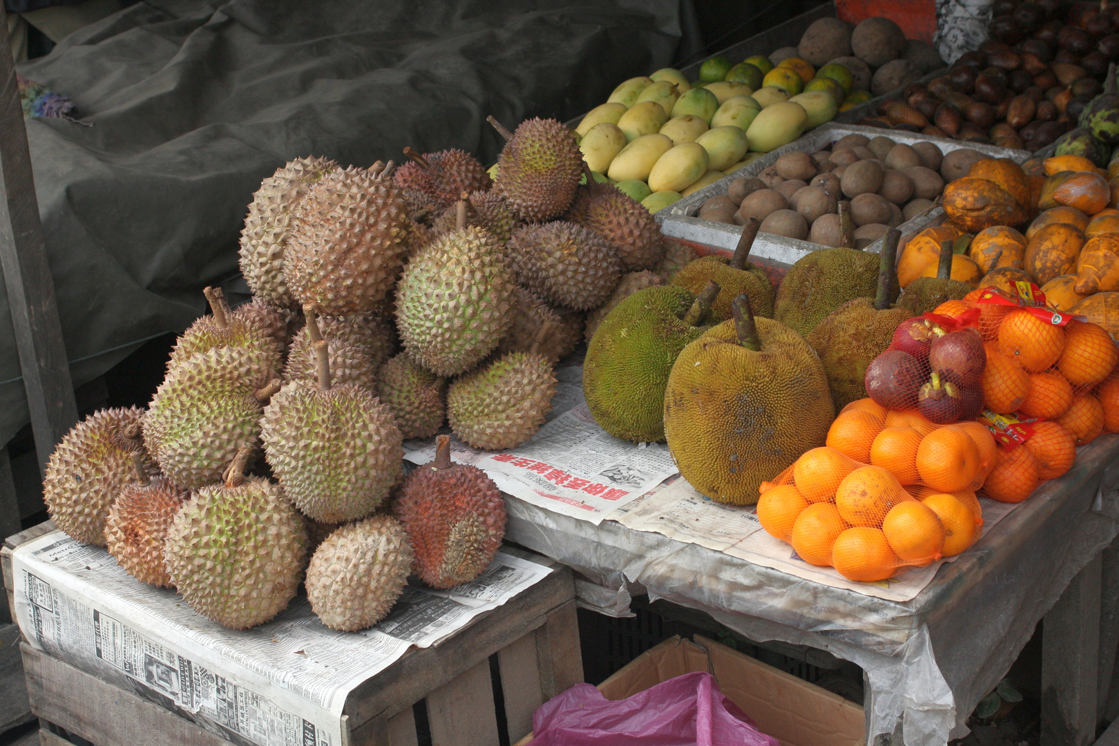 Durian und Jackfrucht