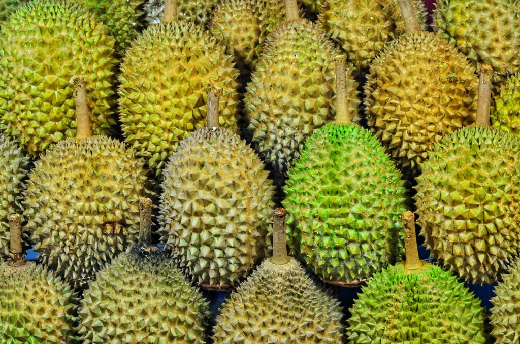 Durians in einer Händlerauslage - Stinkfrucht