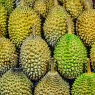 Durians in einer Händlerauslage - Stinkfrucht