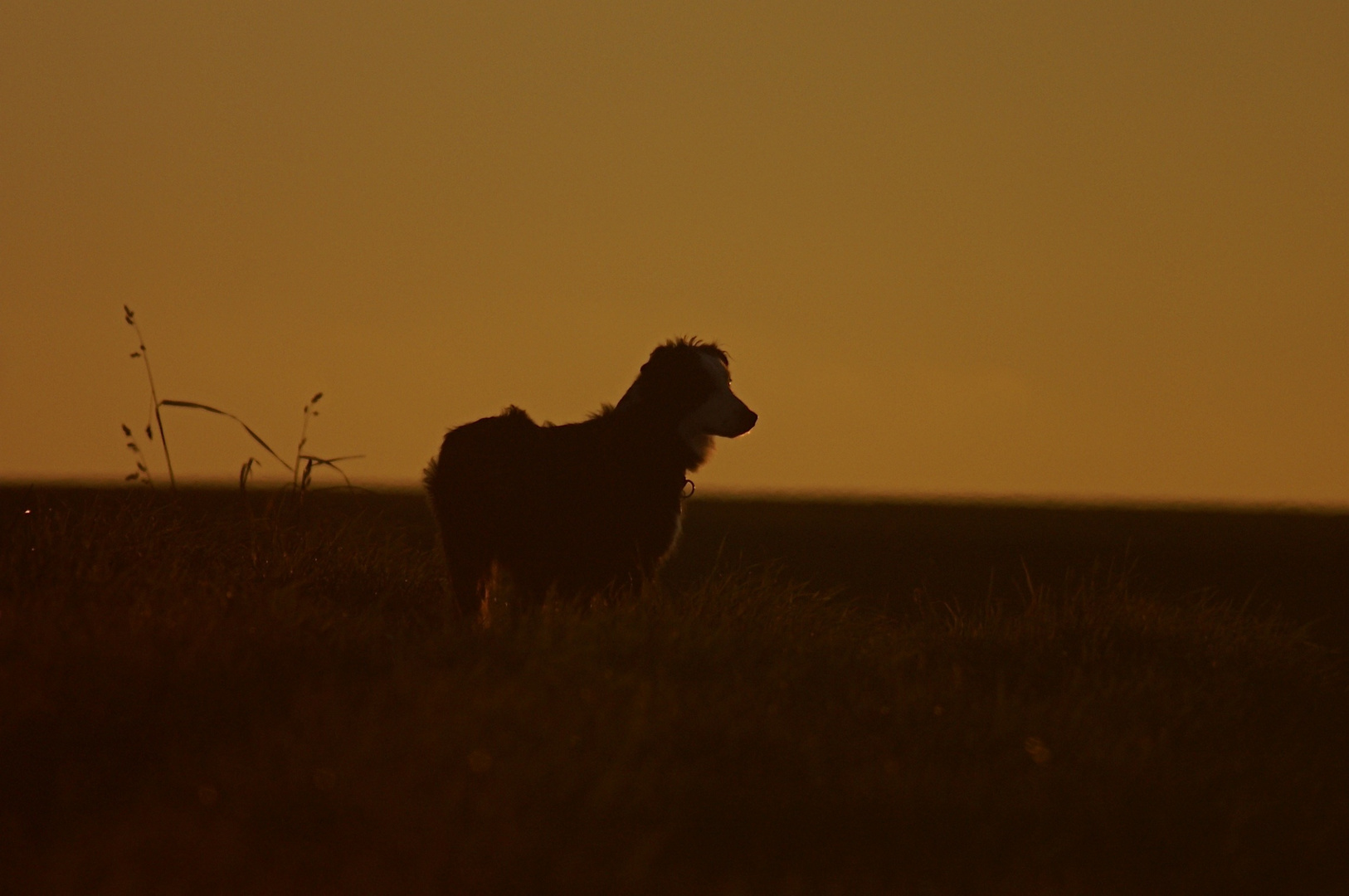 During Sunset