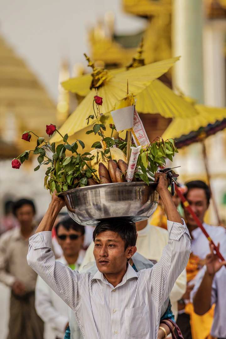 during sunset @ Shwedagon Pagoda