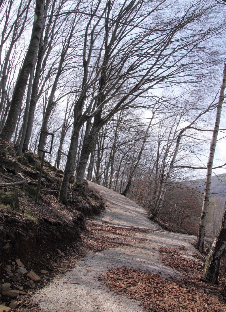 Durlo di Crespadoro (VI) Sentiero del Castello 08 Aprile 2018