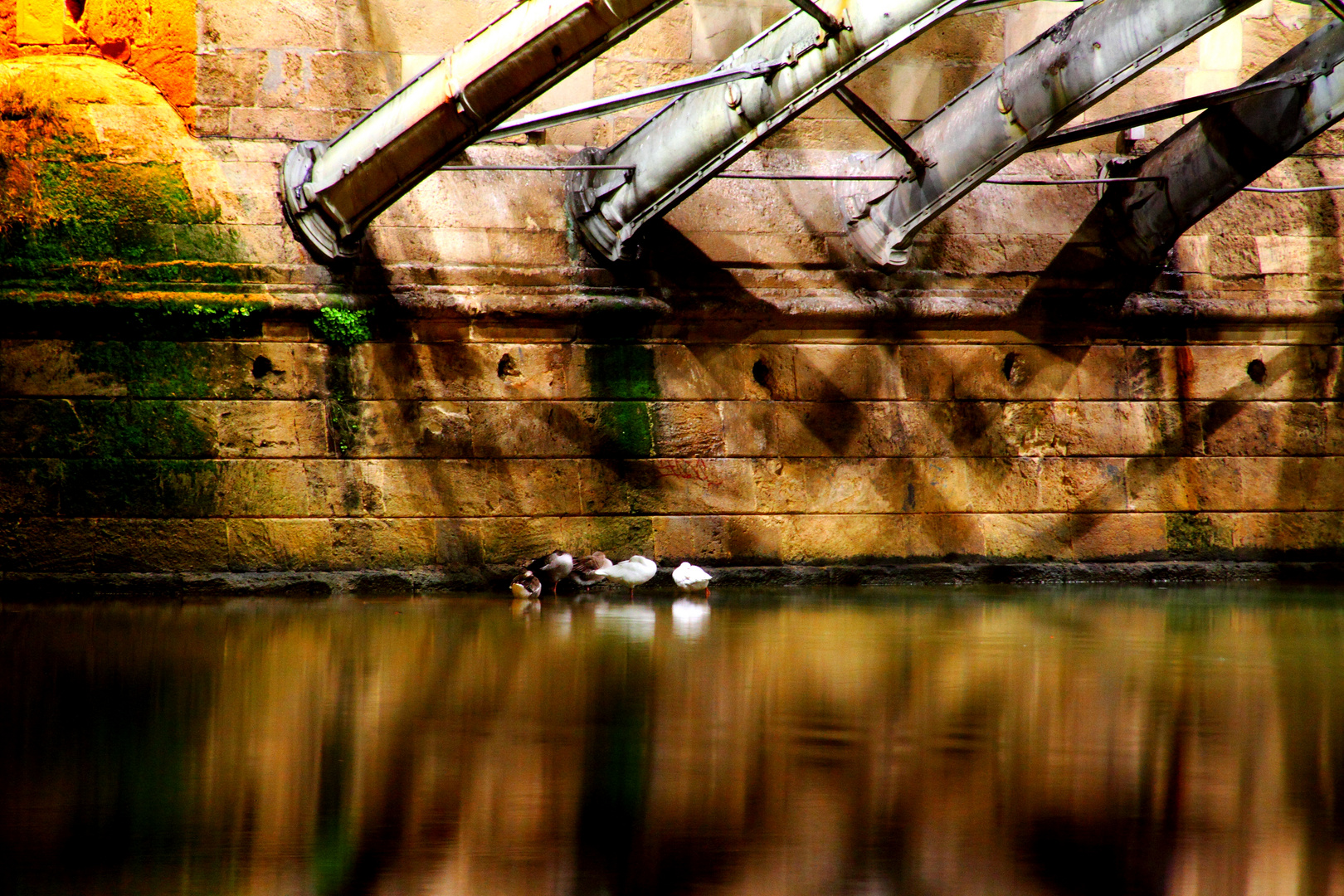 durmiendo bajo el puente