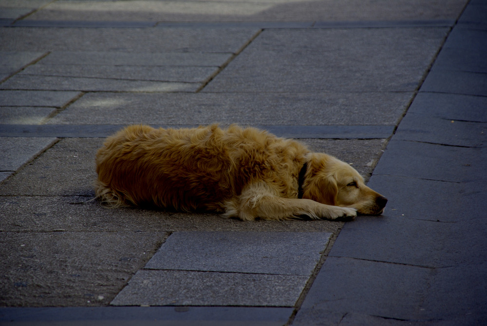 Durmiendo en la calle