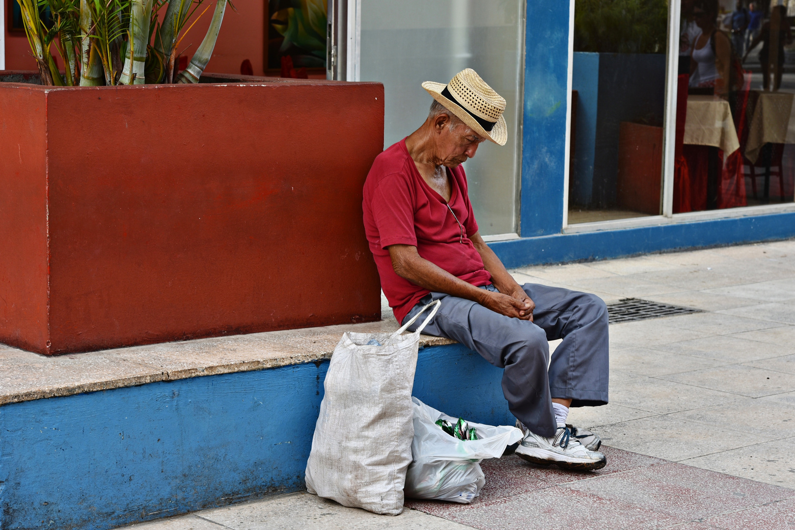 durmiendo - sleeping