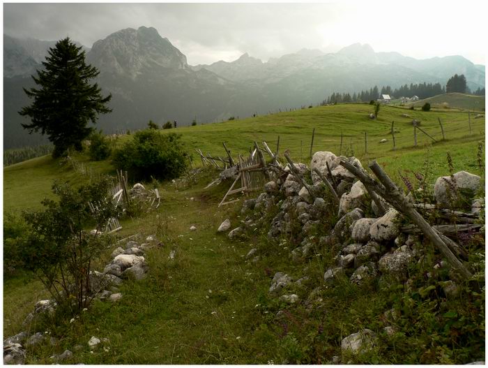 durmitor