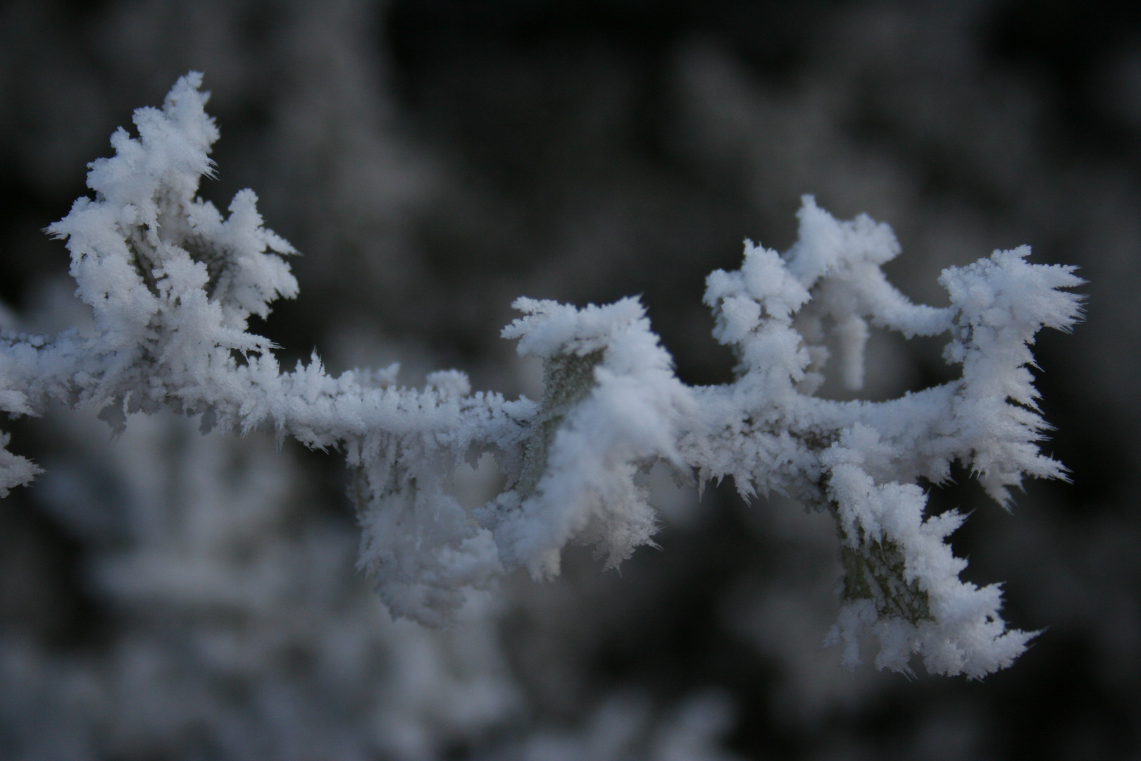 duro invierno