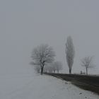 Duro invierno en Romania