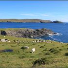 dursey island