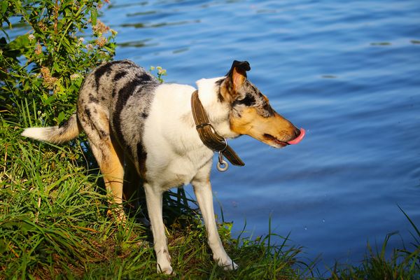 Durst gelöscht nach dem Toben