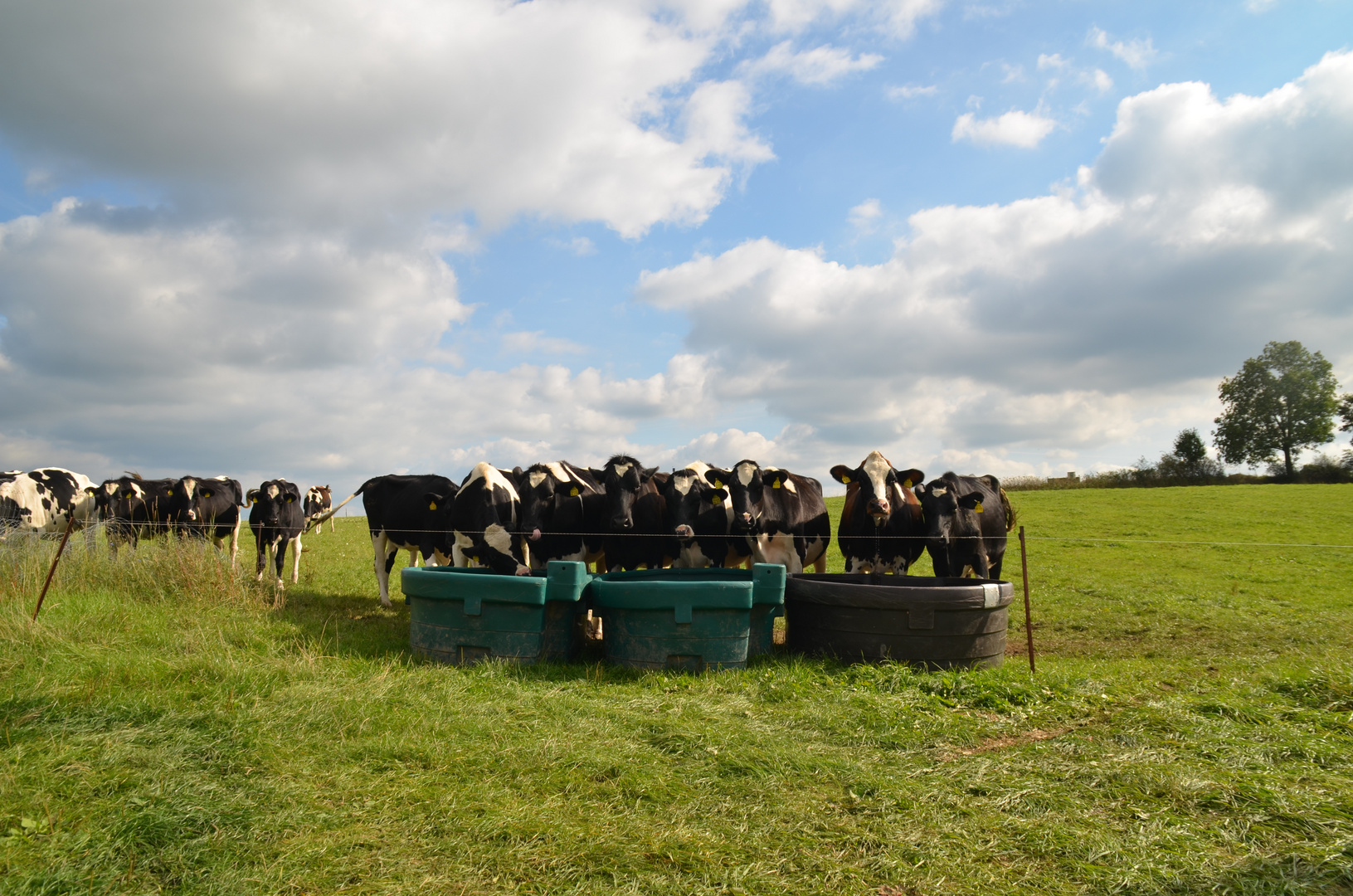 Durst ist schlimmer als Heimweh