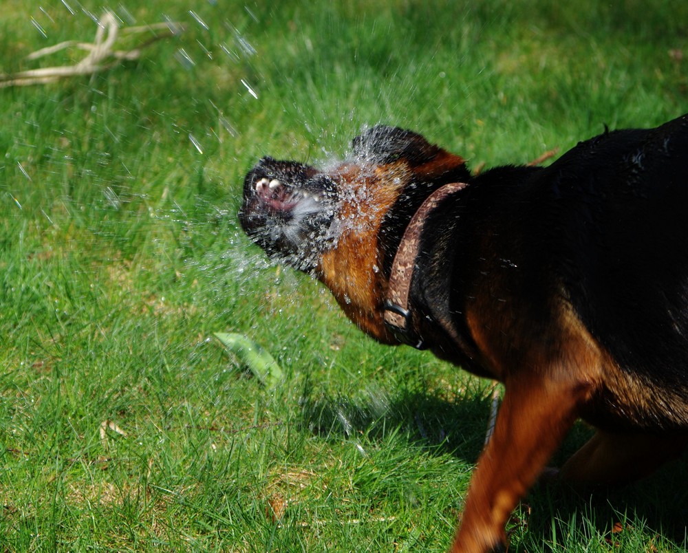 Durstig nach frischen H2O