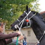 Dusche für den süssen Flandreau