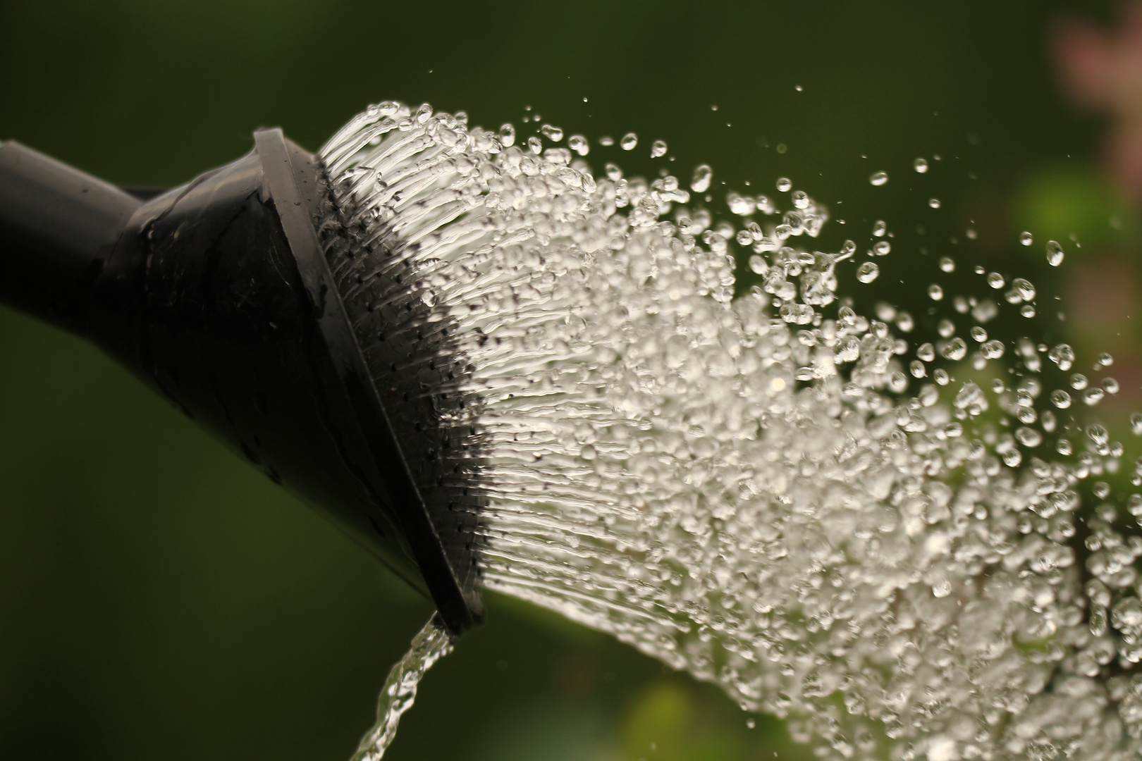 Dusche gefällig ?