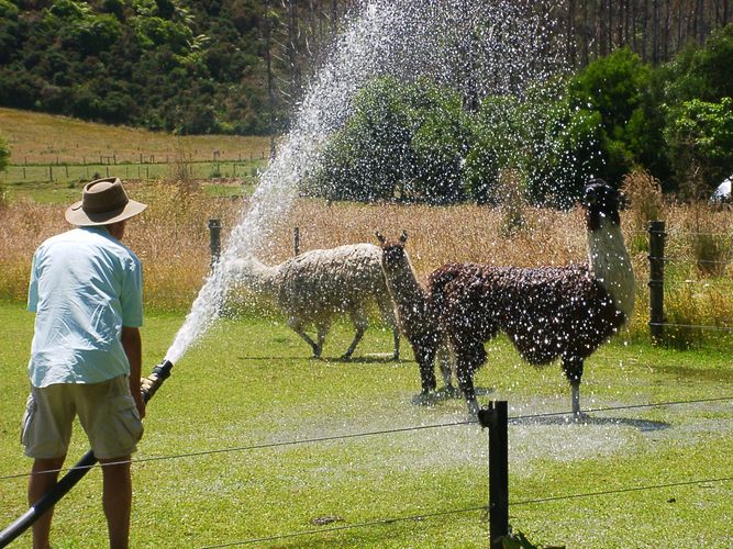 Dusche gefällig