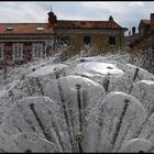 Dusche gefällig?