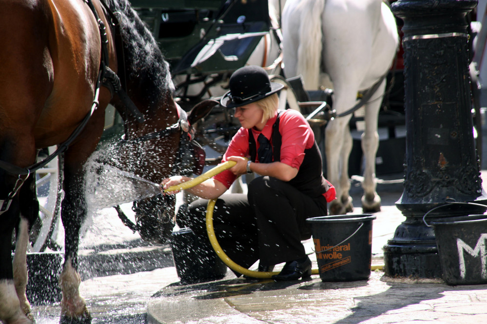 Dusche vor der Hofburg