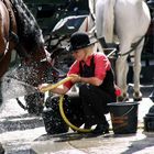 Dusche vor der Hofburg