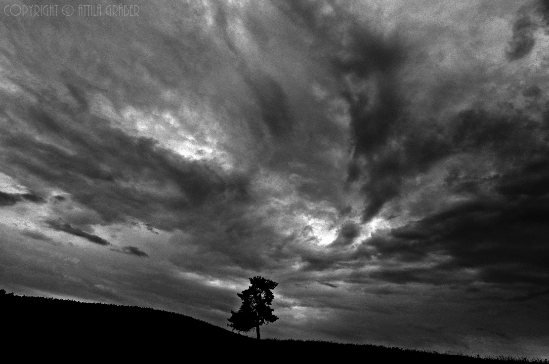 dusk and her embrace (BW)