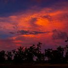 Dusk, East Point Reserve, Darwin, Northern Territory, Australia