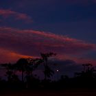 Dusk, East Point Reserve, Darwin, Northern Territory, Australia